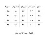 شلوار جین روشن کد 411 - Image 5